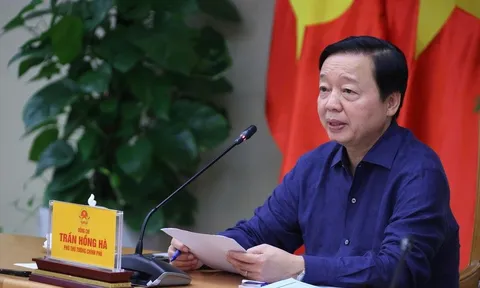 Phó Thủ tướng yêu cầu kiểm tra lò mổ, xem xét xử lý hình sự bán và thả heo bệnh