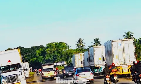 Xe container rồng rắn đi thu mua sầu riêng