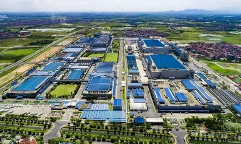 Siêu dự án 3 tỷ USD của Thaco đem về hàng trăm tỷ tiền đền bù đất mỗi năm cho một công ty cao su?