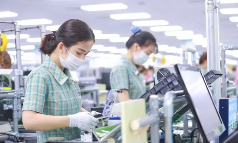 26.200 doanh nghiệp gia nhập thị trường mỗi tháng