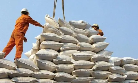 Phát hiện nhiều vi phạm của doanh nghiệp xuất khẩu gạo