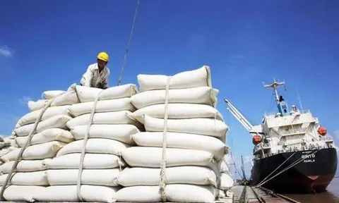 Philippines tạm dừng nhập khẩu gạo, Bộ Công Thương khuyến cáo doanh nghiệp