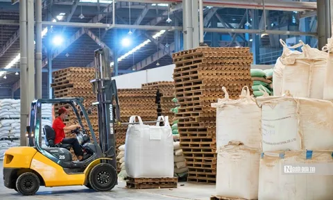Sản xuất công nghiệp tiếp đà tăng trưởng