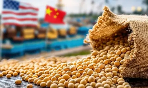 Giữa mùa cao điểm, triệu tấn hàng Mỹ thất thu tỷ USD vì Trung Quốc ‘ngó lơ’, chọn nguồn Brazil