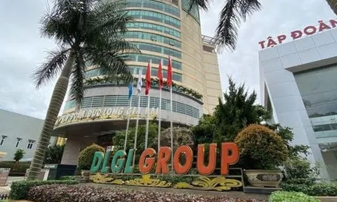 Đức Long Gia Lai góp vốn thành lập 4 công ty liên kết lĩnh vực năng lượng