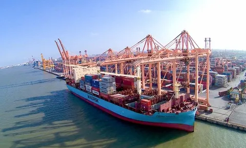 Một số tồn tại trong báo cáo kiểm toán tại Tổng Công ty Hàng Hải Việt Nam