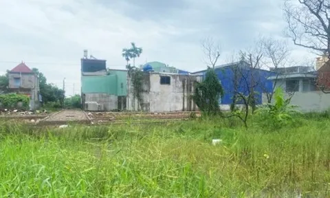 Cán bộ tính sai khiến dân mất gần 100m² đất ở: Đang rà soát, đính chính ‘sổ đỏ’