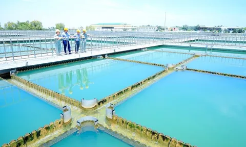Cổ đông lớn Sonadezi không đồng ý điều chỉnh kế hoạch SXKD năm 2025 và lương thưởng Chủ tịch HĐQT 163 triệu đồng/tháng của Dowaco