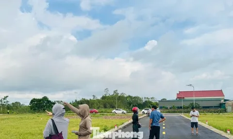Chính quyền cảnh báo dự án 'ảo' tạo sốt đất ở vùng quê