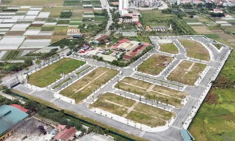 Nâng mức cọc lên 50% khi đấu giá đất: Có chặn được hành vi trục lợi, thao túng?