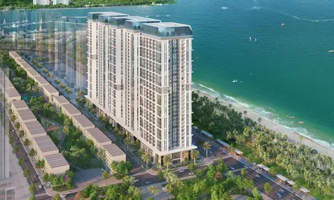 Tại sao tổ hợp căn hộ Sun Group Bãi Cháy hút khách khi vừa ra mắt?