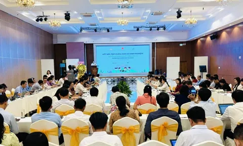 Trường học sinh thái ASEAN: Lan tỏa mô hình 'không rác thải nhựa' từ Cần Thơ