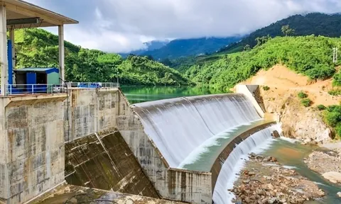 Ông lớn Nhật Bản Sumitomo mua lại 49% cổ phần tại dự án thủy điện ở Việt Nam