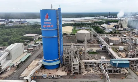 Đạm Phú Mỹ lãi quý III gấp 3,6 lần cùng kỳ, vượt xa kế hoạch lợi nhuận năm