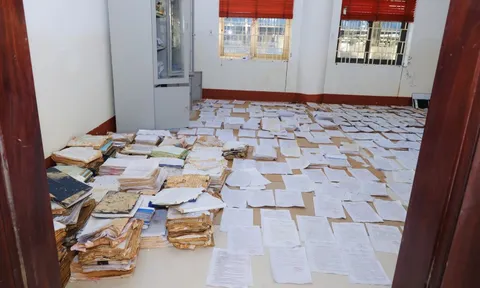 Ngành Giáo dục hướng đến 'trường học an toàn trước thiên tai'