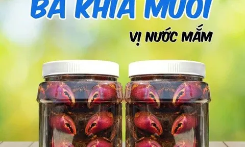 Ba khía muối nước mắm ngon ở Cà Mau có giá đến 250.000 đồng/kg