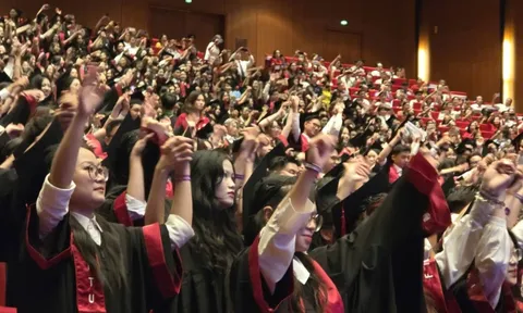 Bộ GD&ĐT tạm hoãn sắp xếp trường đại học, nghề nghiệp để chờ đề án mới