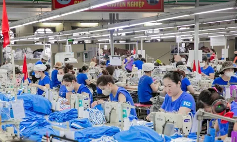 TNG được gia hạn doanh nghiệp ưu tiên, trả cổ tức tiền mặt đợt 2/2025