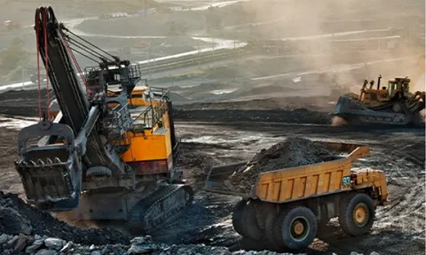 Lợi nhuận Coalimex giảm mạnh trong quý III/2025