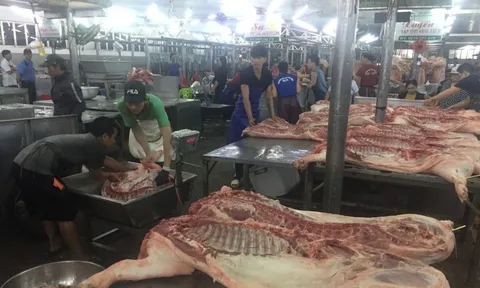 Giá heo hơi hôm nay, 2-11: Thông tin đáng chú ý từ chợ đầu mối