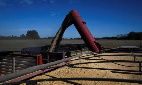 Trung Quốc tạm dừng mức thuế 24%, đậu tương của Mỹ vẫn đánh mất lợi thế vào tay một ông trùm nông sản: Là nhà cung cấp lớn nhất của Việt Nam nhiều năm qua