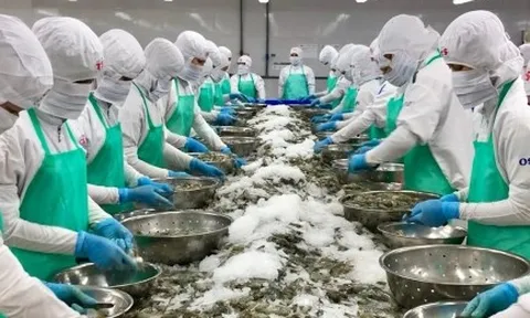 Kim ngạch xuất khẩu sẽ phá kỷ lục?