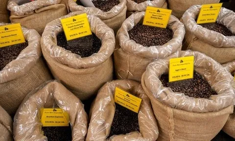 Mỹ giảm thuế suất từ 20% xuống 0%, cà phê Việt Nam đứng trước cơ hội vàng bứt phá tại thị trường lớn nhất thế giới?