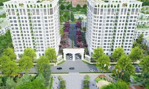 Dự án Khu đô thị mới CEO Mê Linh của CEO Group được giao đất đợt 1