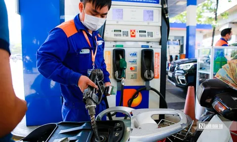 Bức tranh phân cực của các "ông lớn" xăng dầu trong quý III/2025