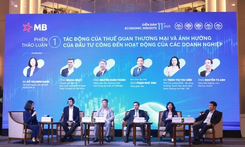 CEO MB Phạm Như Ánh: “Đầu tư công có tác động dẫn dắt cả nền kinh tế”