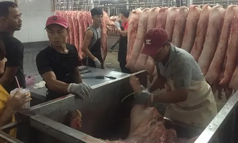 Giá heo cuối năm khó tăng đột biến