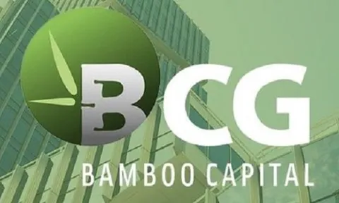 Bamboo Capital sẽ tổ chức đại hội cổ đông bất thường, dự kiến miễn nhiệm hàng loạt lãnh đạo
