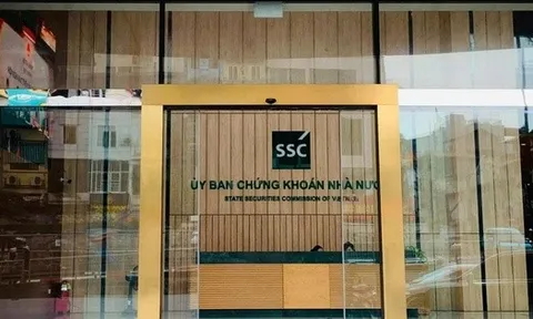 Vinaconex 34 bị hủy tư cách công ty đại chúng