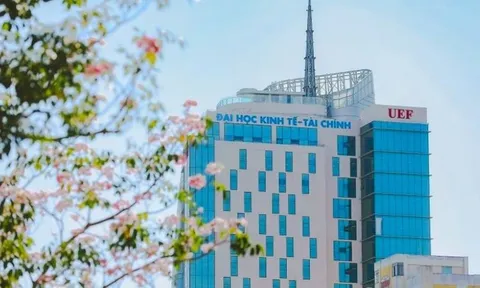 Trường Đại học UEF dưới sự đồng hành của Hệ thống giáo dục HUTECH