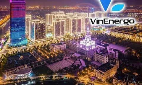 Công ty năng lượng VinEnergo 28.000 tỷ của tỷ phú Phạm Nhật Vượng xuất hiện 1 cổ đông mới nắm 5% cổ phần