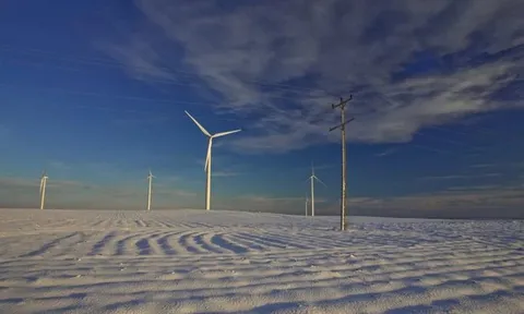 Nguyên nhân dự án trang trại điện gió 800MW bị từ chối