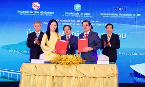 T&T Group và tỉnh Cà Mau ký kết hợp tác, nghiên cứu triển khai nhiều dự án lớn