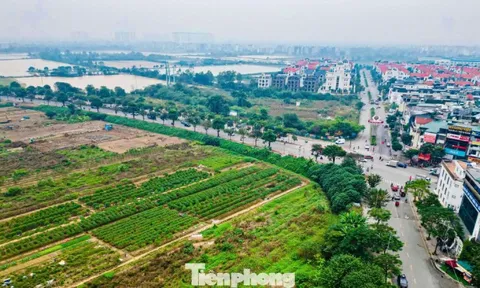 Hiện trạng khu đất làm công viên, quảng trường nhạc nước gần 100ha ở Hà Nội