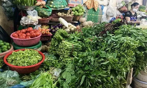 Tp.HCM kích hoạt giải pháp khẩn cấp giữ bình ổn giá rau