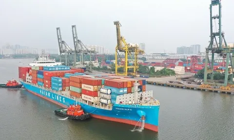 Nhiều doanh nghiệp logistics tại Hải Phòng bội thu