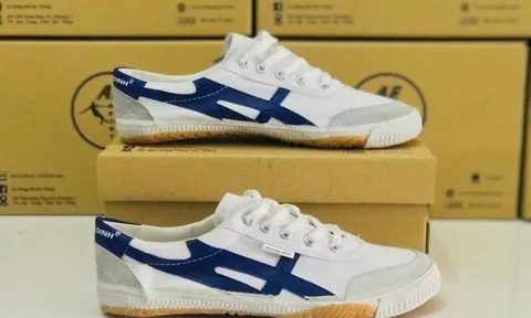 UBND Hà Nội muốn thoái vốn, cổ phiếu hãng giày từng "vang bóng một thời" trên sàn có biến