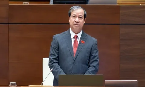 Nghiên cứu, xem xét kỹ lưỡng đối với mô hình đại học vùng