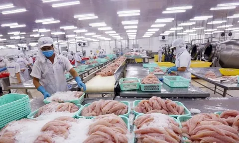 Châu Âu siết mạnh truy xuất nguồn gốc thủy sản