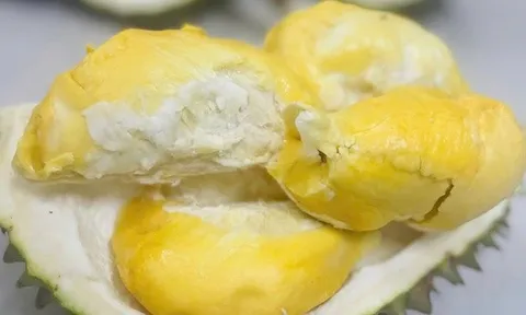Loại sầu riêng bán 700.000 đồng/kg nhưng vẫn "cháy hàng"
