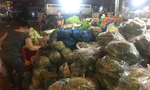 Giá hành lá 110.000 đồng/kg, làm sao hạ nhiệt?