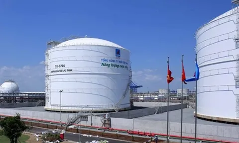 Xây lắp Dầu khí Việt Nam bị phạt vì giao dịch nội bộ "chui"