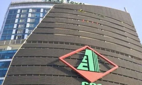 CC1 sắp họp ĐHĐCĐ bất thường bàn chuyện tăng vốn và bầu bổ sung thành viên HĐQT