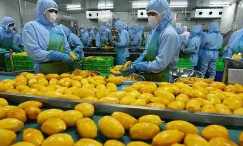 Khuyến cáo doanh nghiệp cập nhật quy định mới của Trung Quốc về xuất khẩu thực phẩm