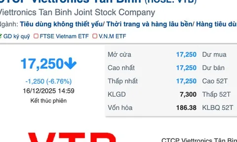 Vì sao Viettronics Tân Bình giảm sàn 5 phiên sau khi đại gia Vũ Văn Tiền thâu tóm?