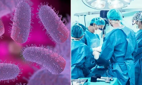 Người đàn ông tử vong sau khi được ghép thận từ người nhiễm bệnh dại